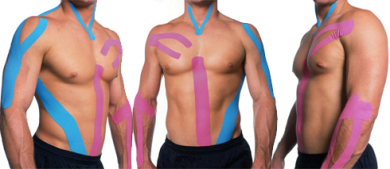 Chest Muscle Diagram